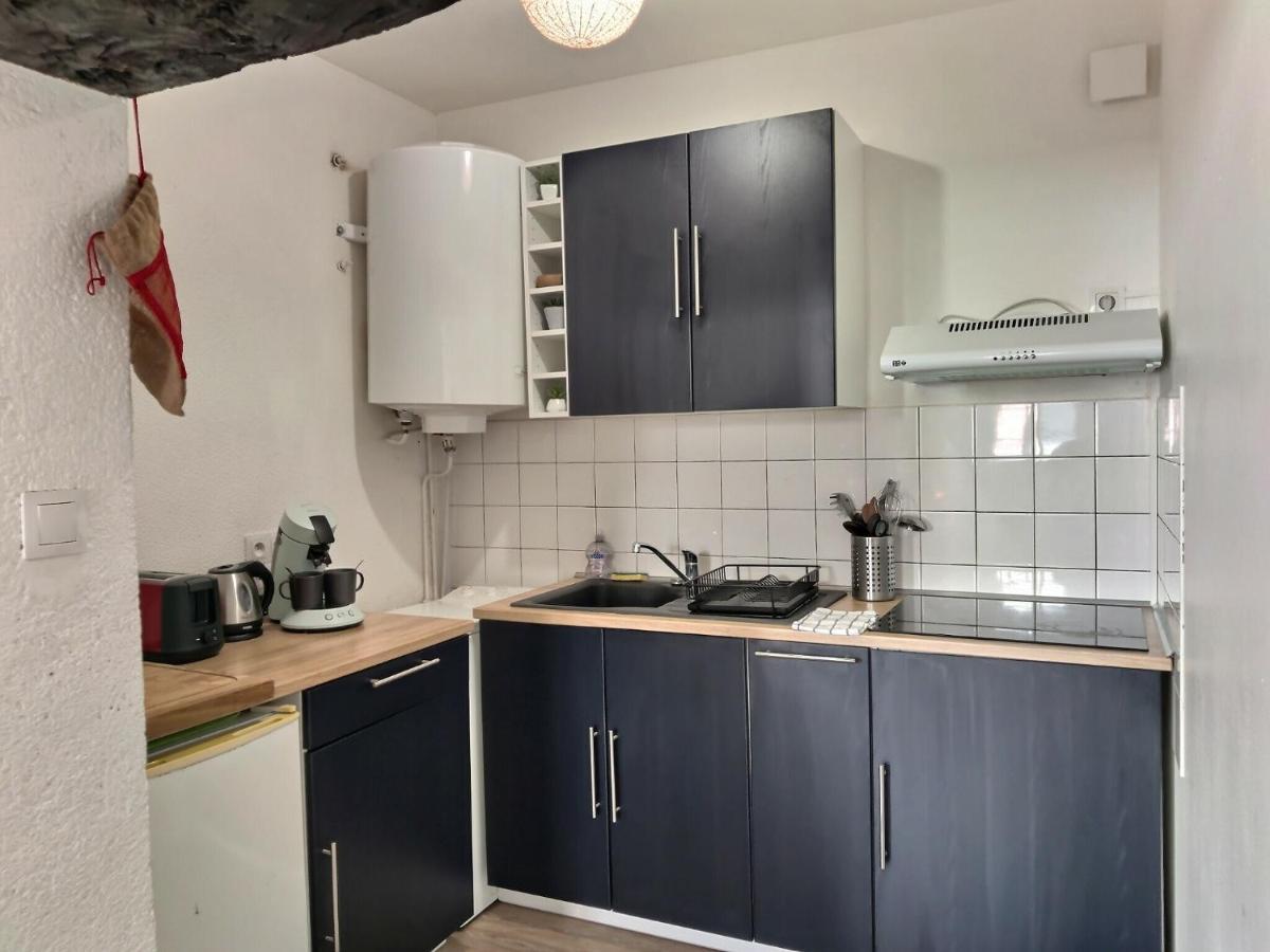 Les Vents De Boheme - Spacieux - Centre Ville Albi Eksteriør billede